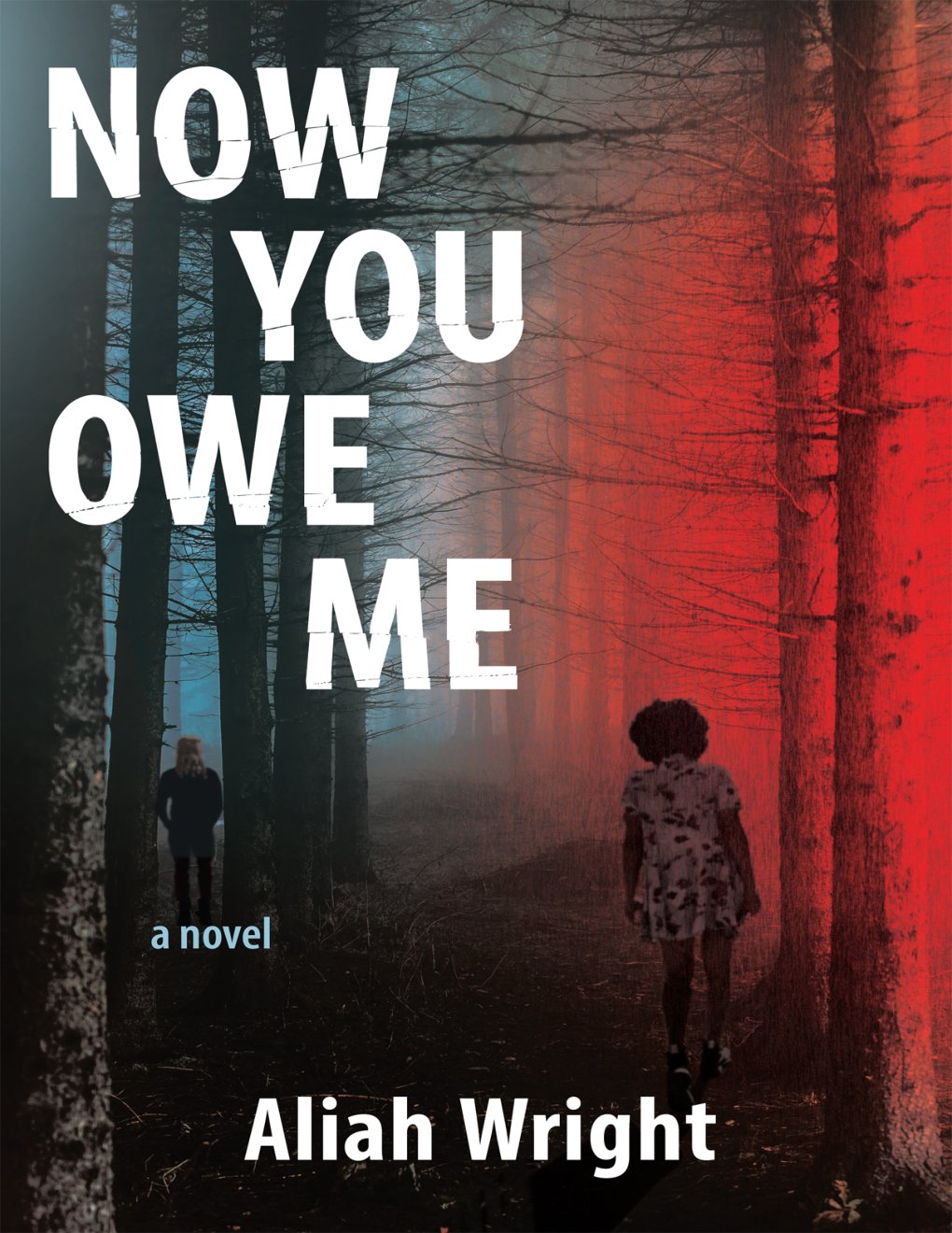 Cover of Now You Owe Me