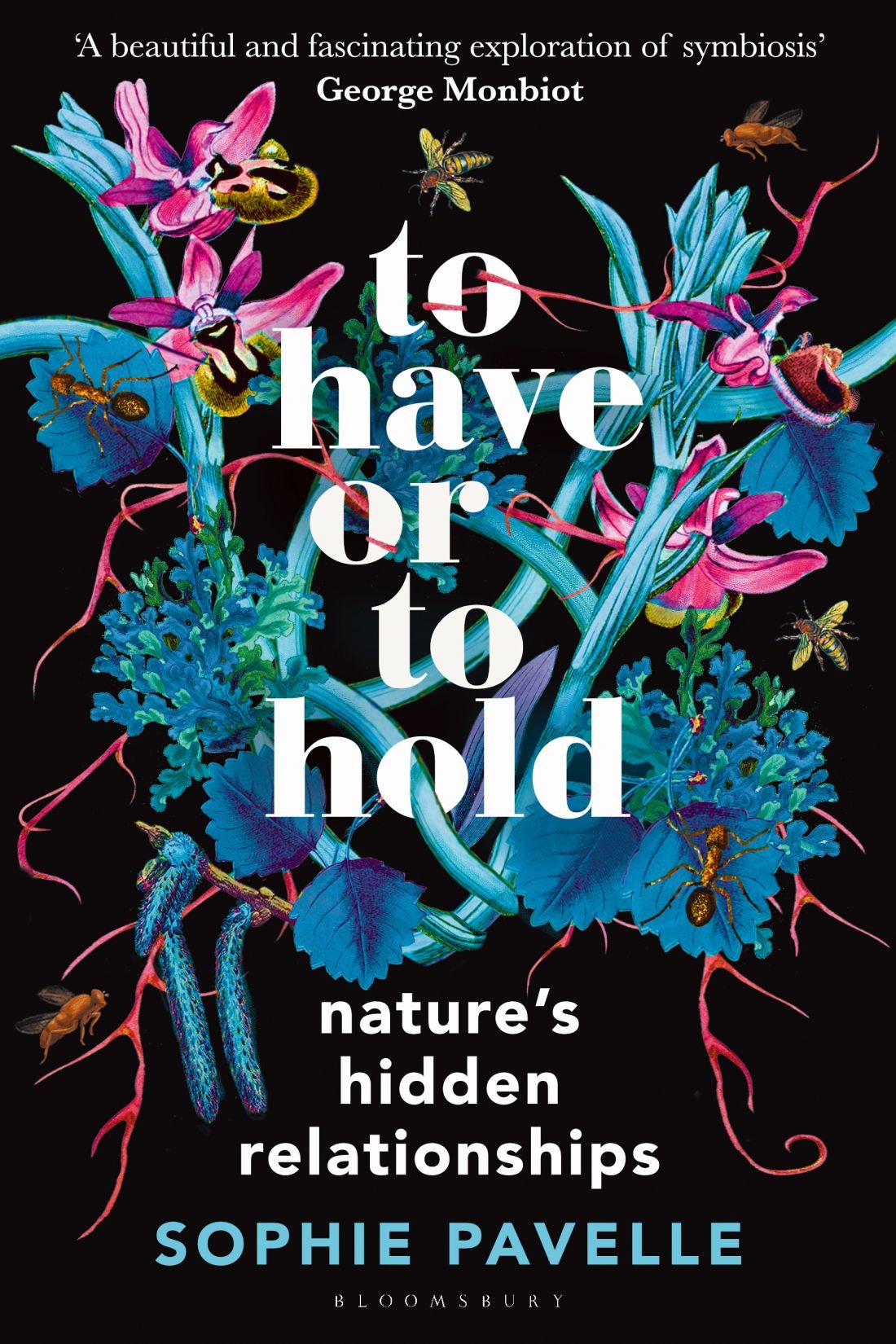 Cover of To Have or to Hold