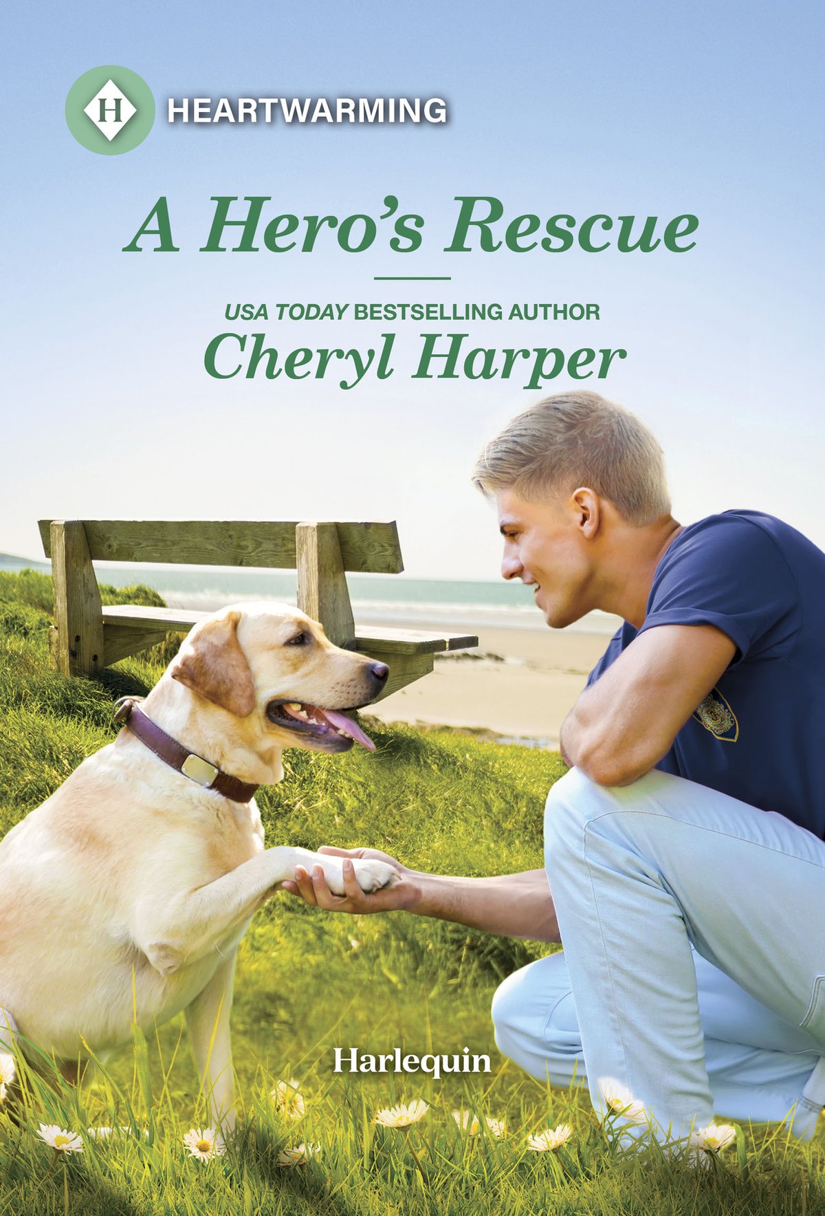 Cover of A Hero's Rescue (2000)
