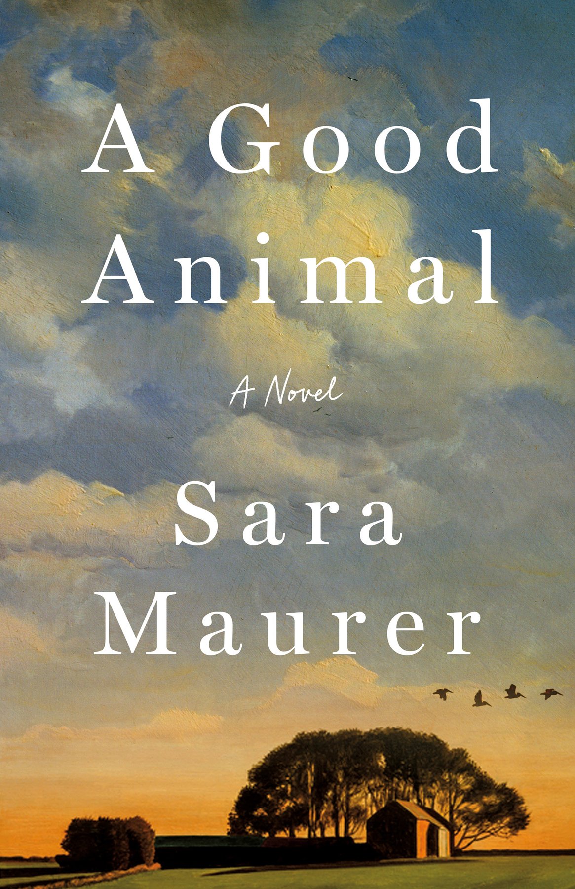 Cover of A Good Animal
