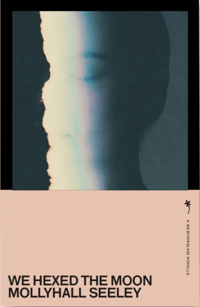 Cover of We Hexed the Moon