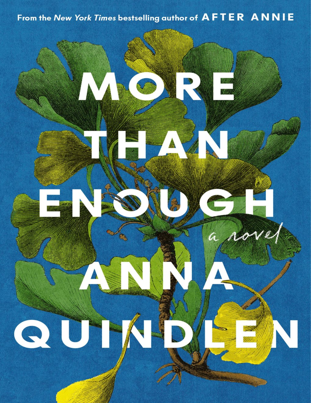 Cover of More Than Enough: A Novel