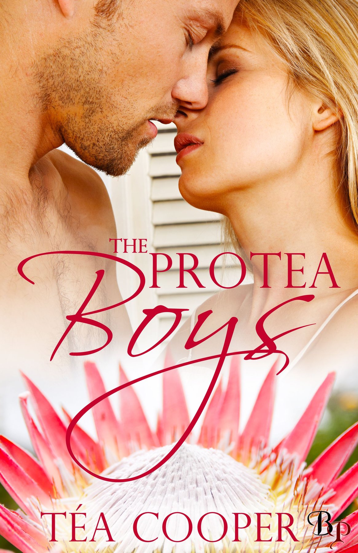 Cover of The Protea Boys