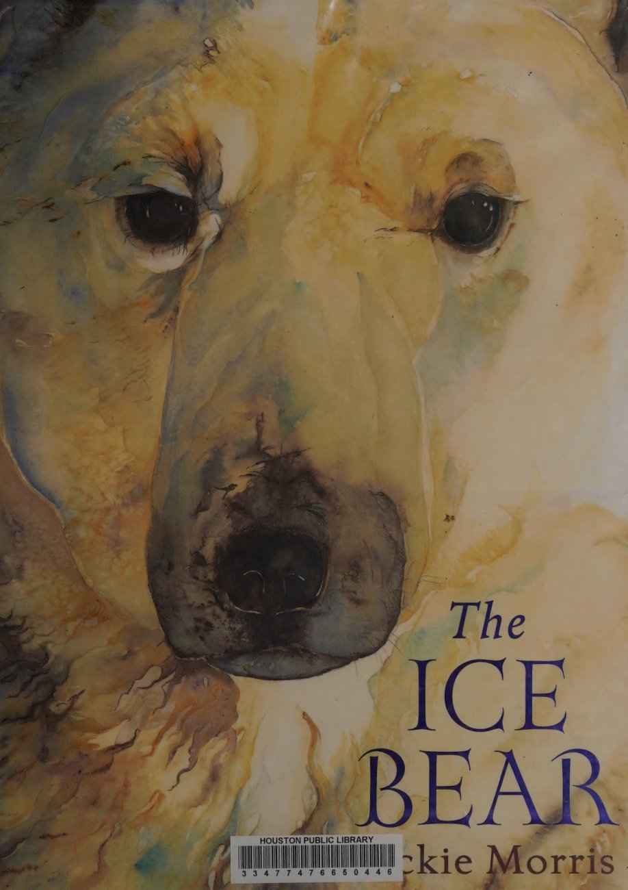 Cover of The ice bear (2010)