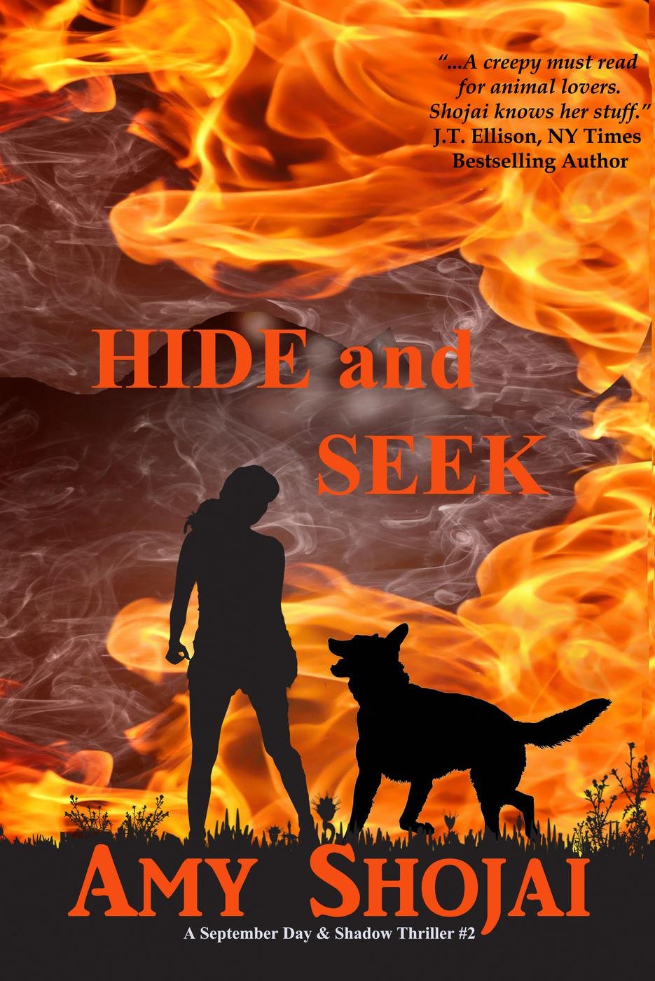 Cover of Hide and Seek