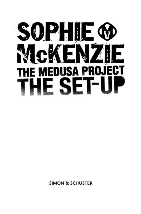 Cover of The Set Up (1988)