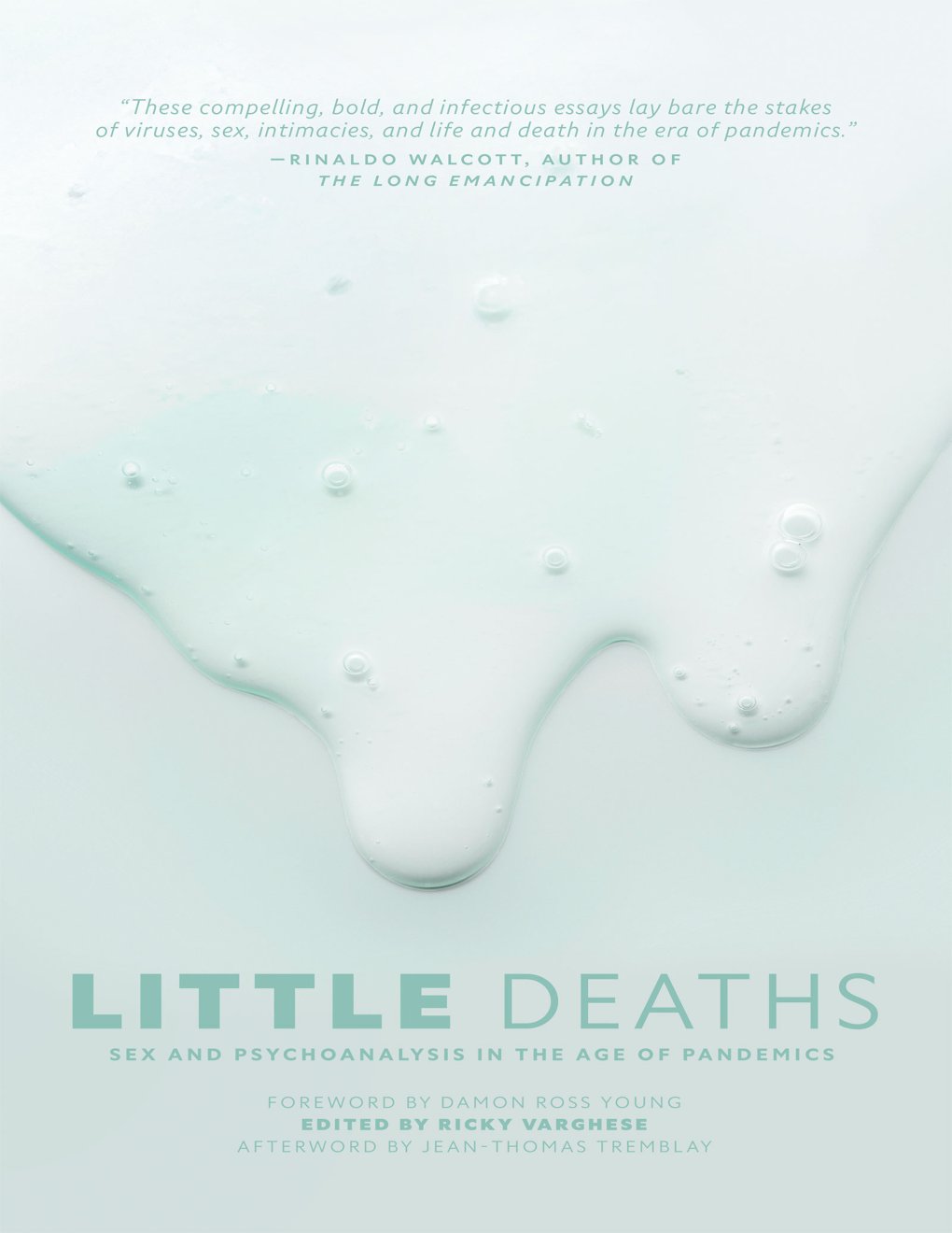 Cover of Little Deaths
