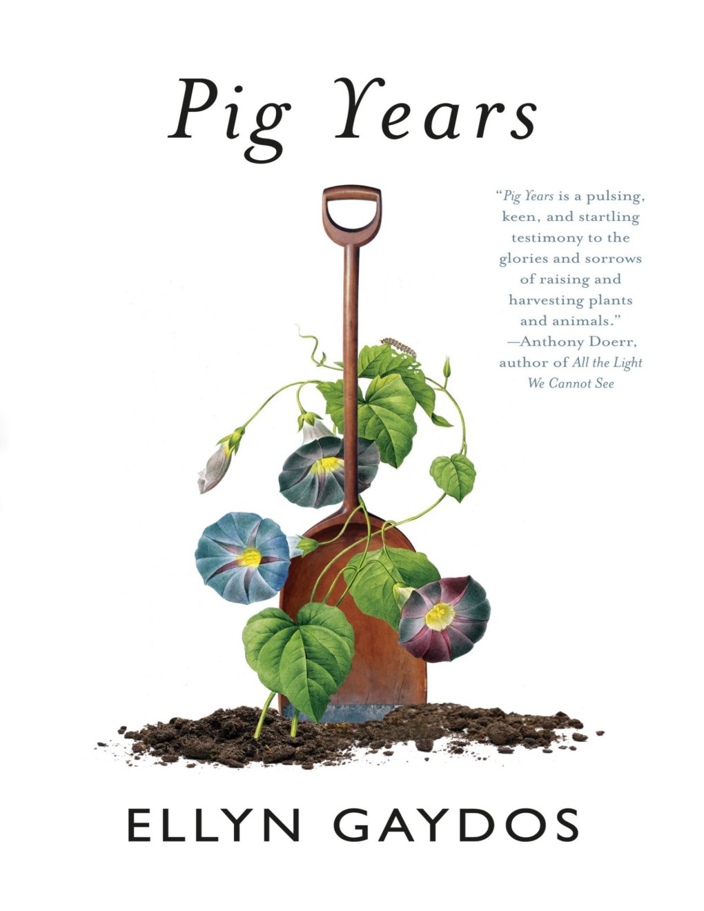 Cover of Pig Years