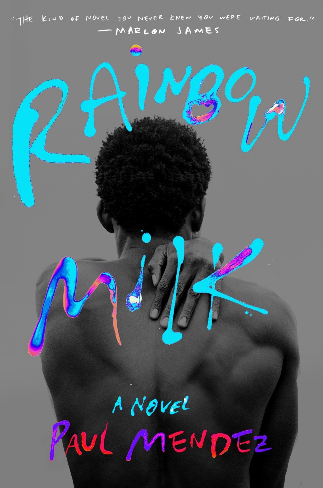 Cover of Rainbow Milk; A Novel (2002)