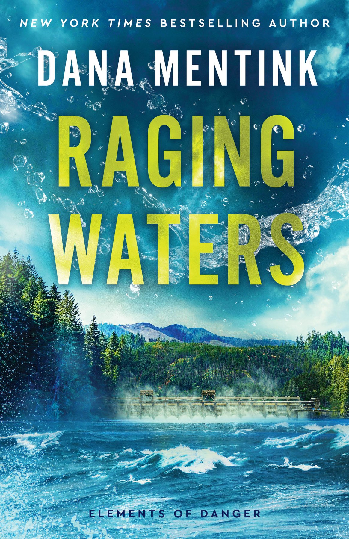 Cover of Raging Waters