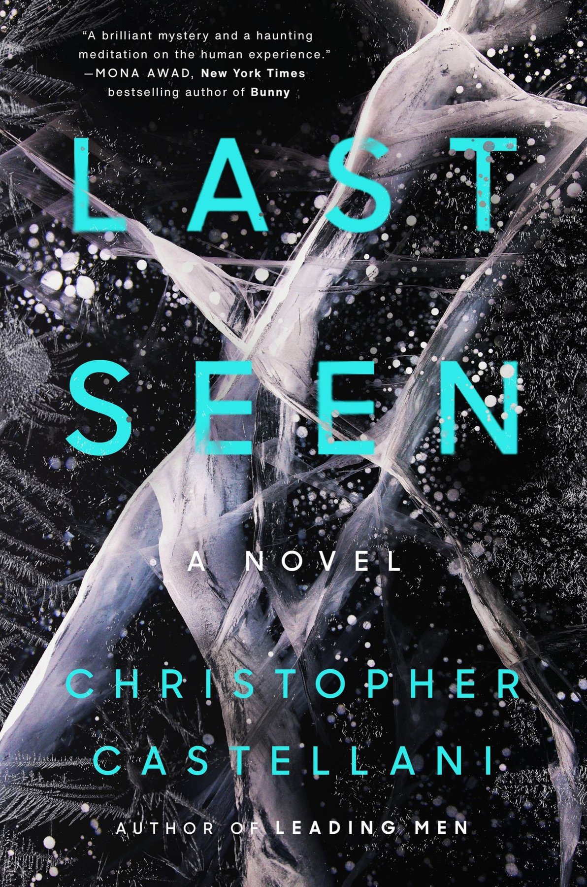 Cover of Last Seen