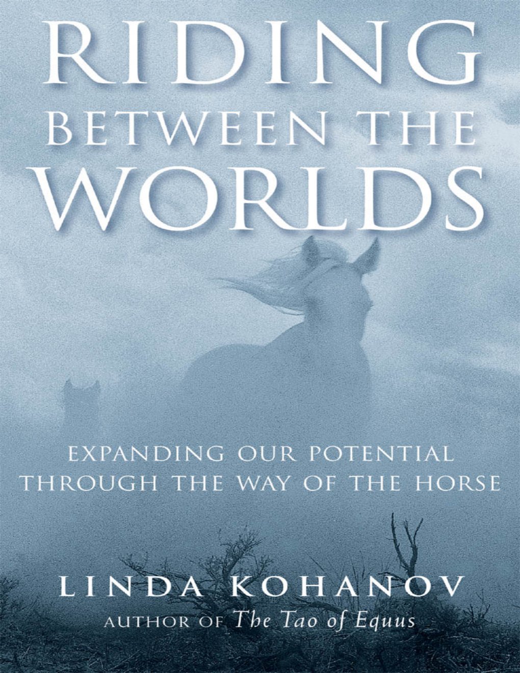 Cover of Riding Between the Worlds