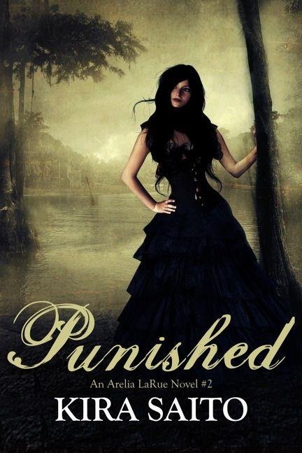Cover of Punished