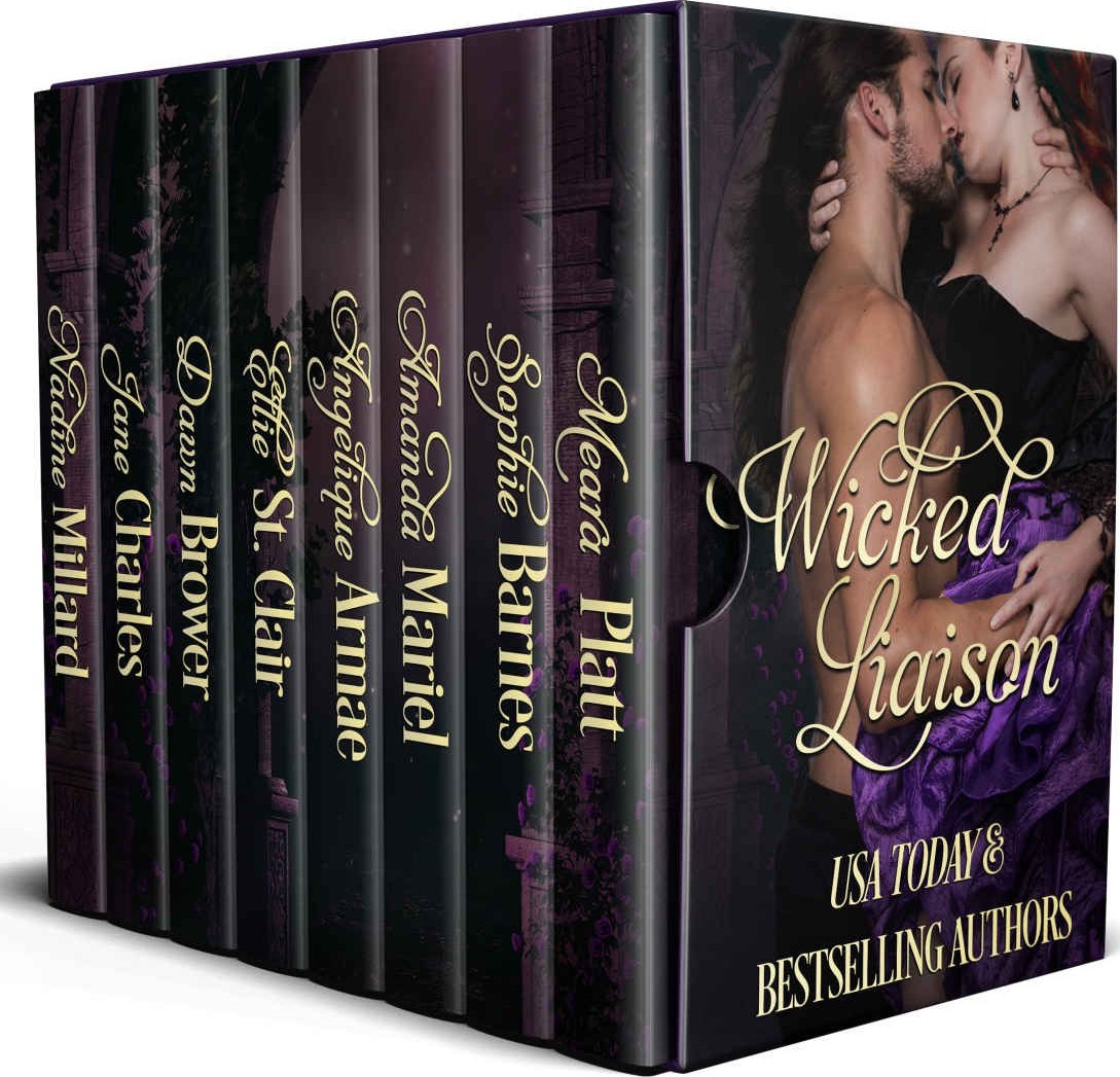 Cover of Wicked Liaison