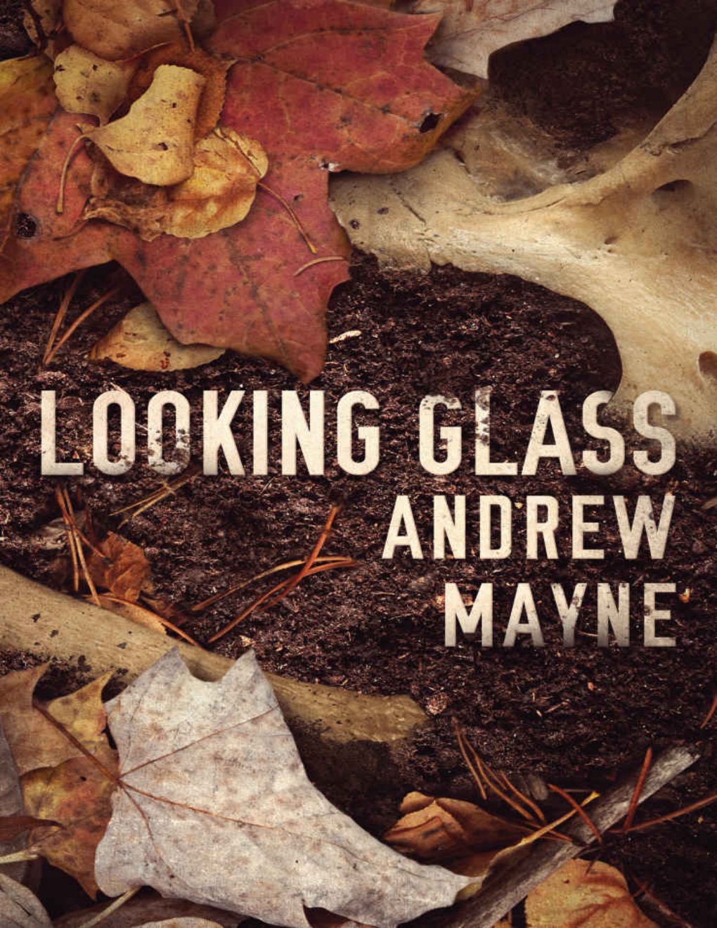 Cover of Looking Glass