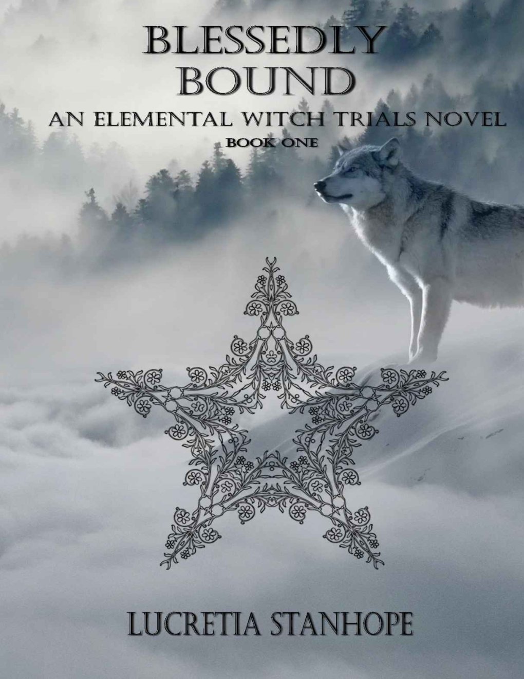 Cover of Blessedly Bound