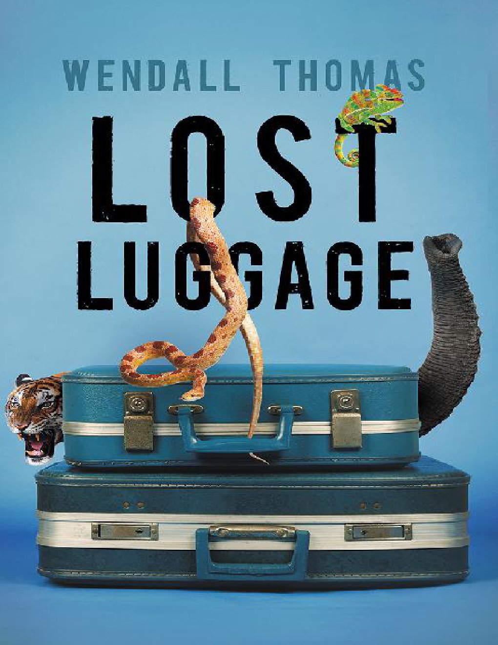 Cover of Lost Luggage
