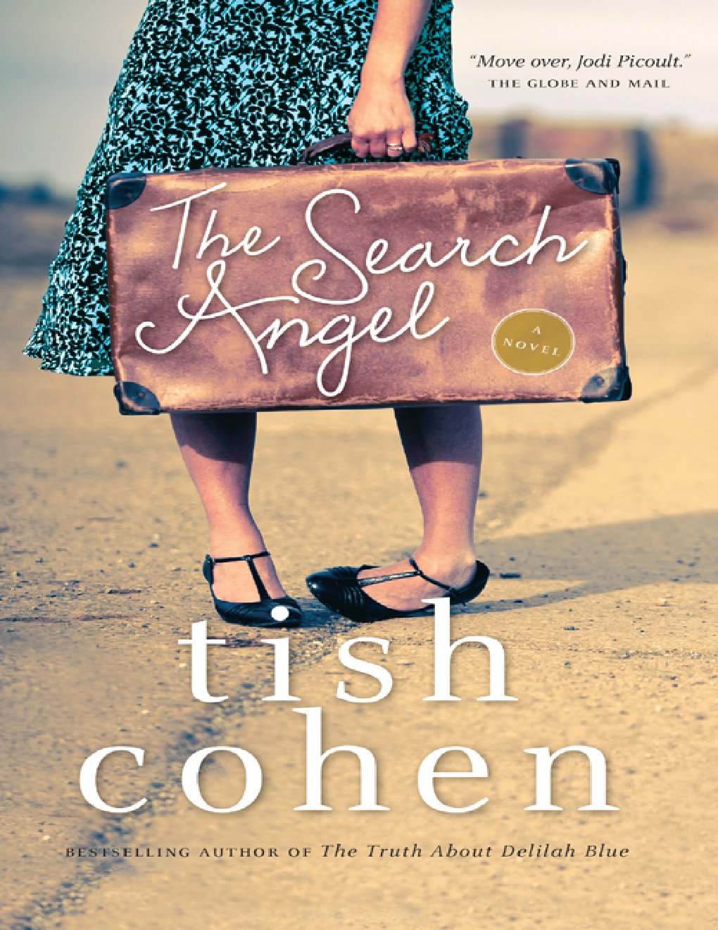 Cover of The Search Angel