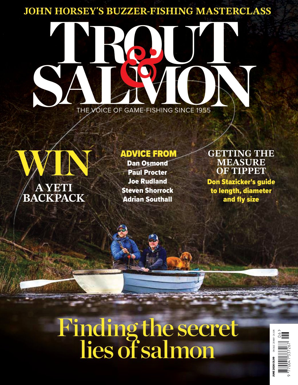 Cover of Finding the secret