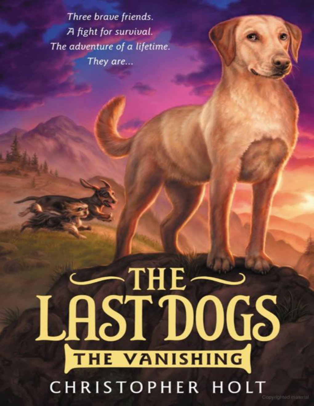 Cover of Last Dogs 1: The Vanishing