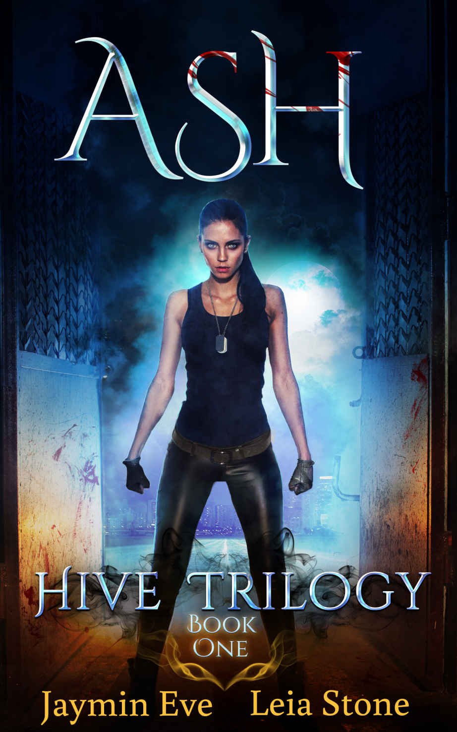 Cover of Ash