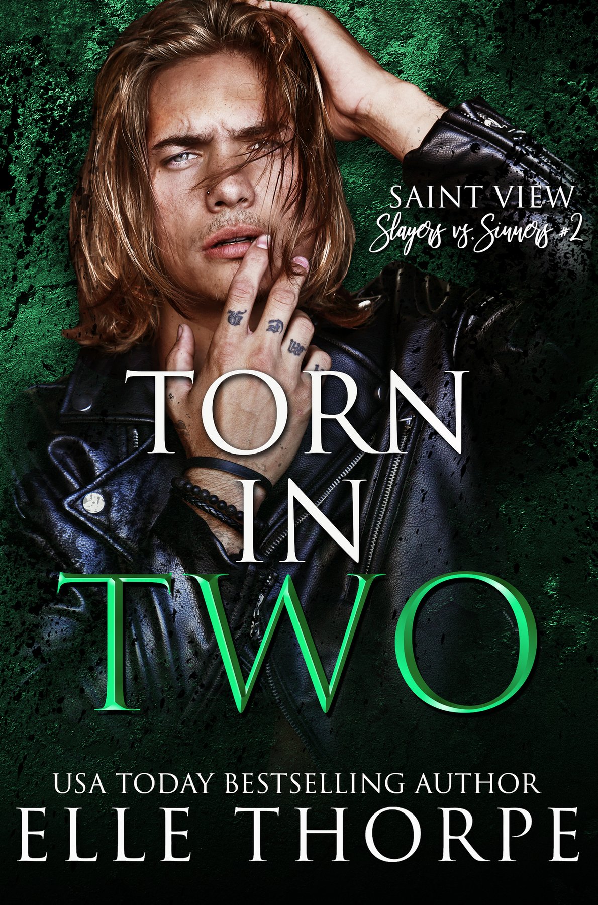 Cover of Torn in Two
