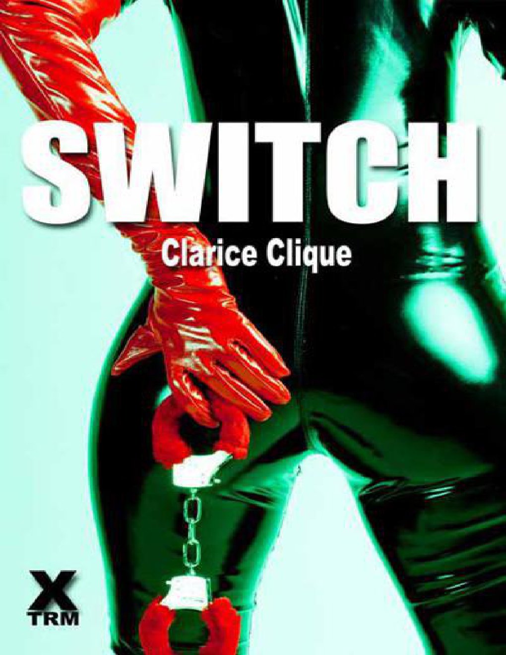 Cover of Switch - a full length bdsm erotic novel