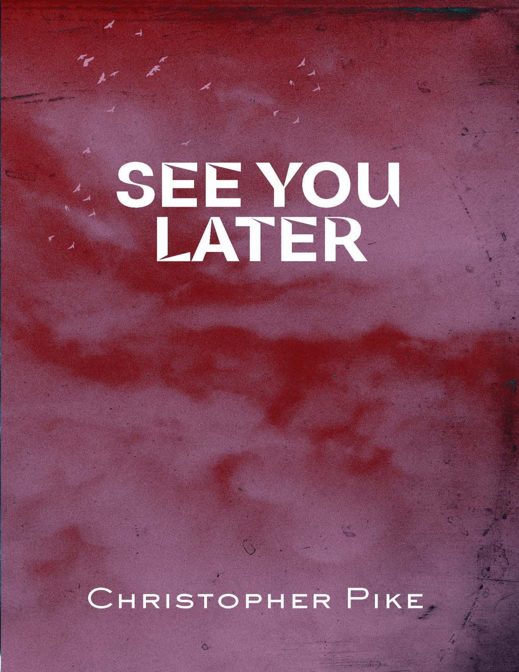 Cover of See You Later