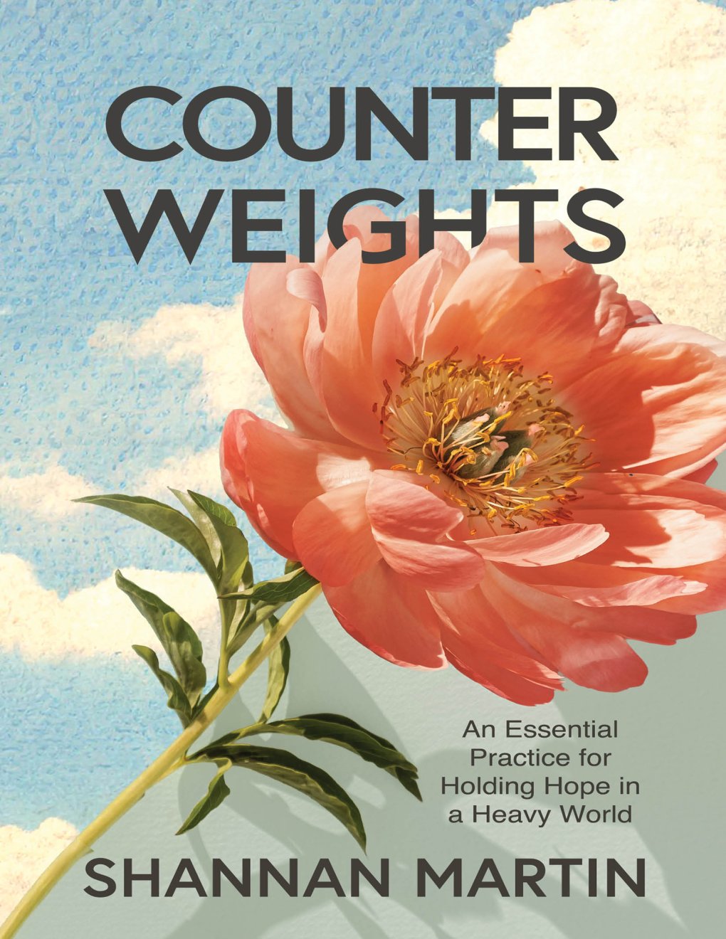 Cover of Counterweights