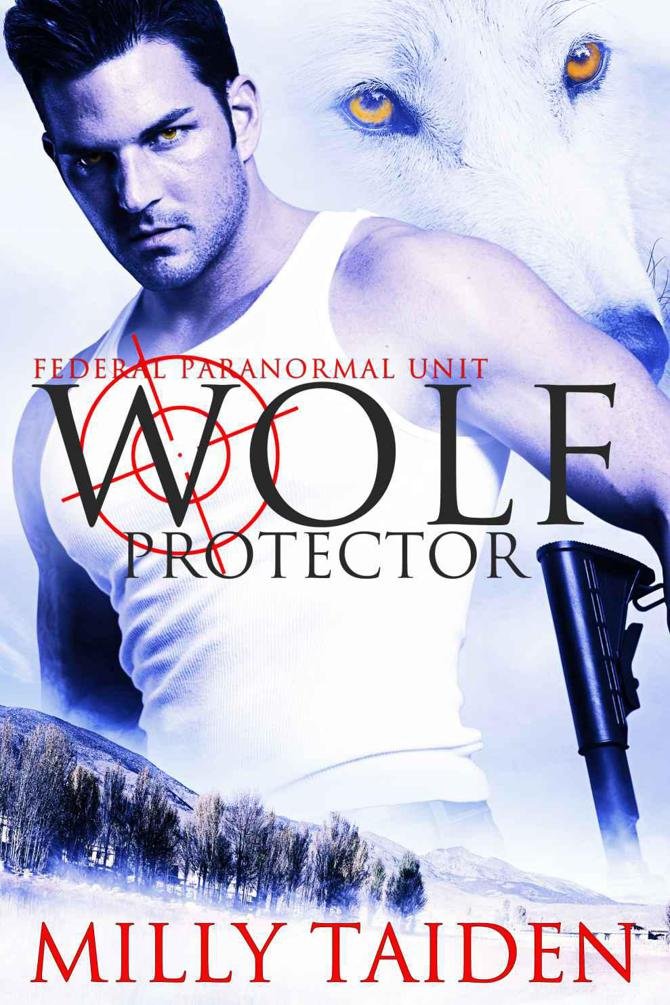 Cover of Wolf Protector (2013)
