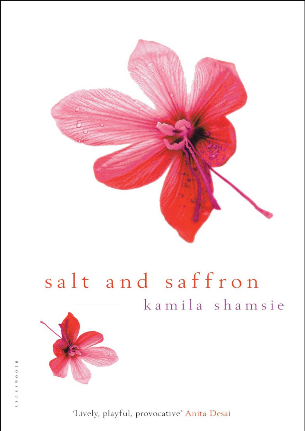 Cover of Salt and Saffron (1973)