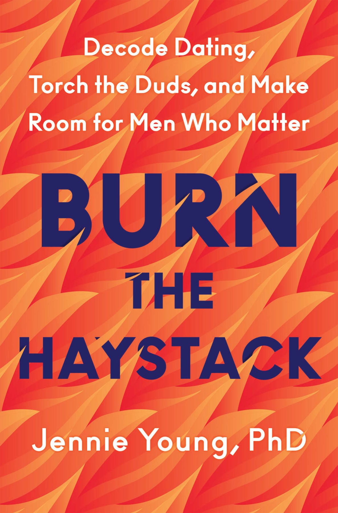 Cover of Burn the Haystack