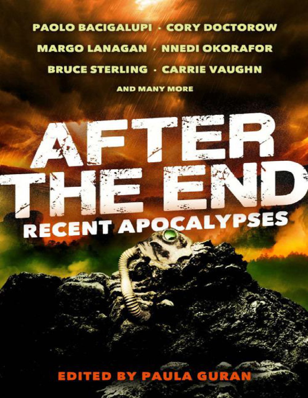 Cover of After the End: Recent Apocalypses (2013)