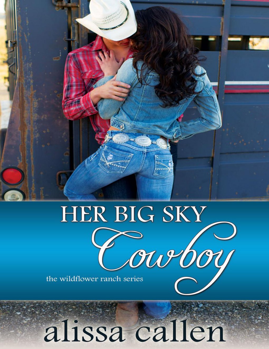 Cover of Her Big Sky Cowboy (Wildflower Ranch, #3)