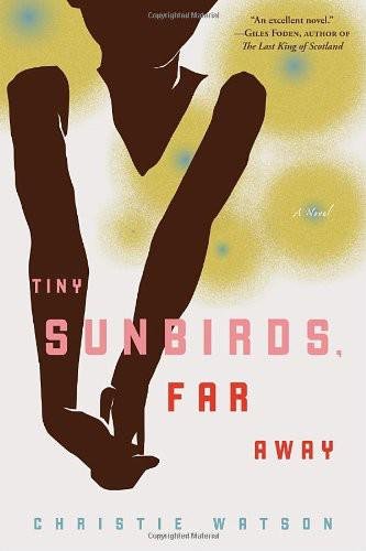 Cover of Tiny Sunbirds Far Away