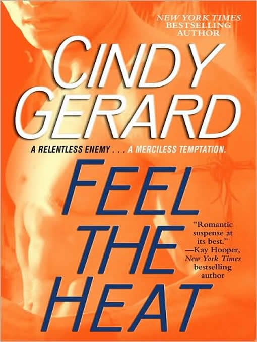 Cover of Feel the Heat