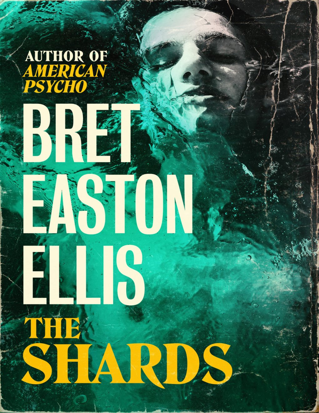 Cover of The Shards