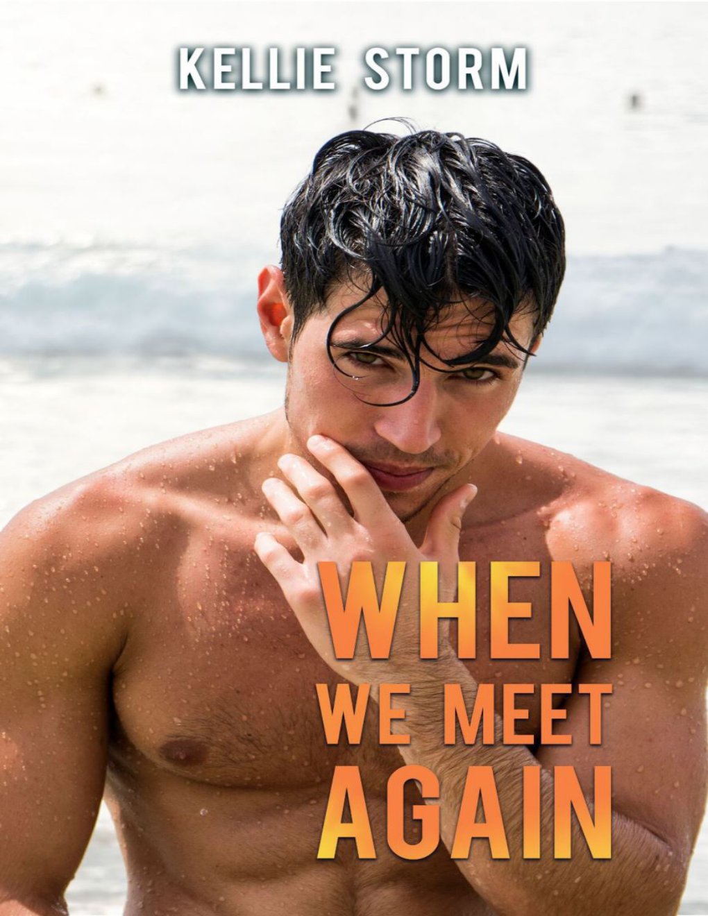 Cover of When We Meet Again