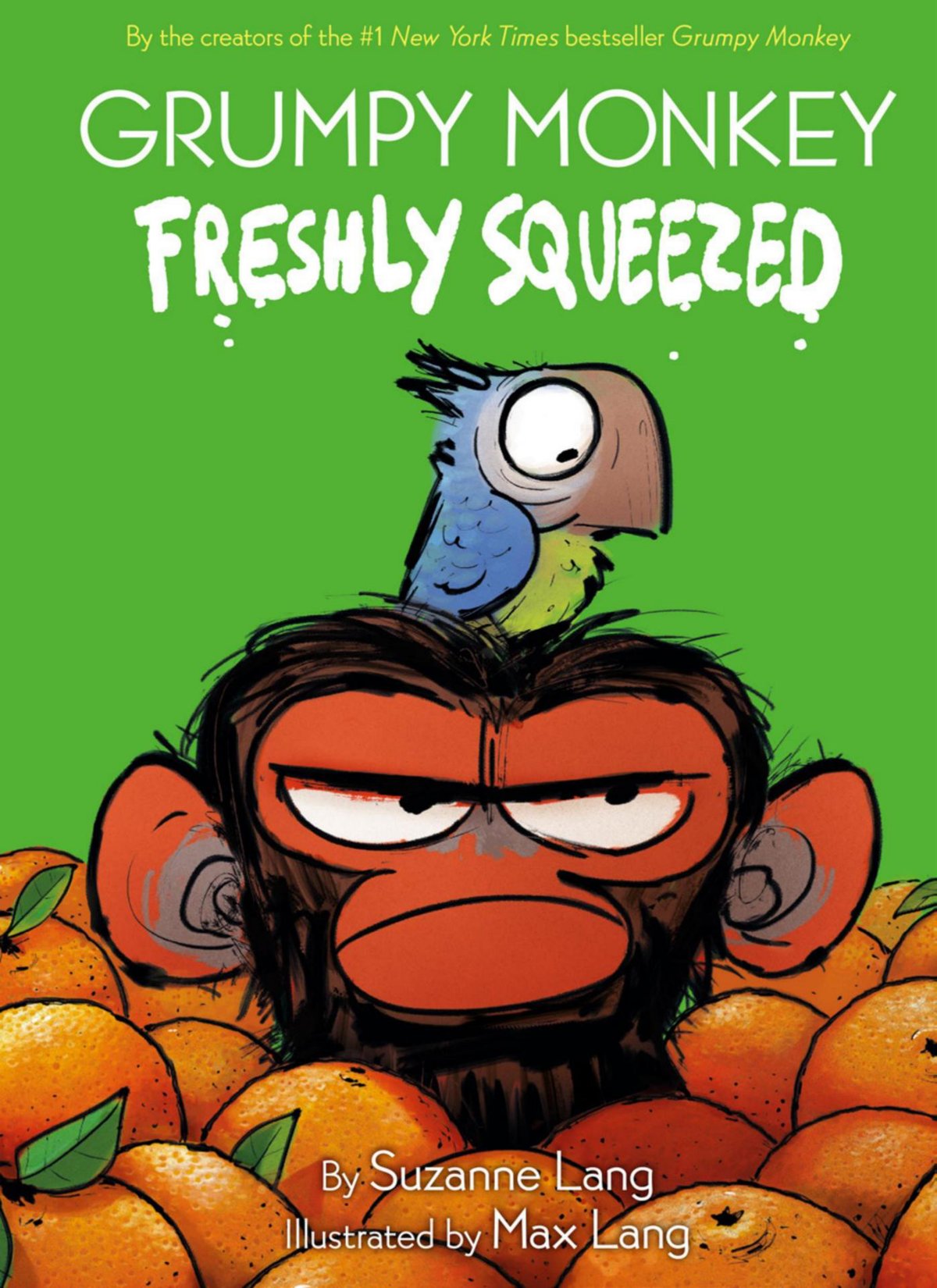 Cover of Grumpy Monkey Graphic Novels series