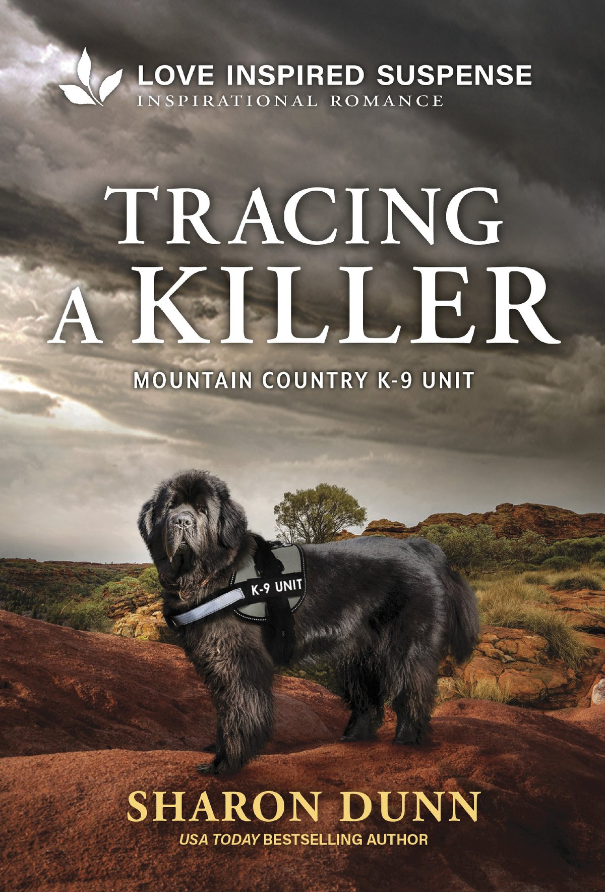 Cover of Tracing a Killer (2014)