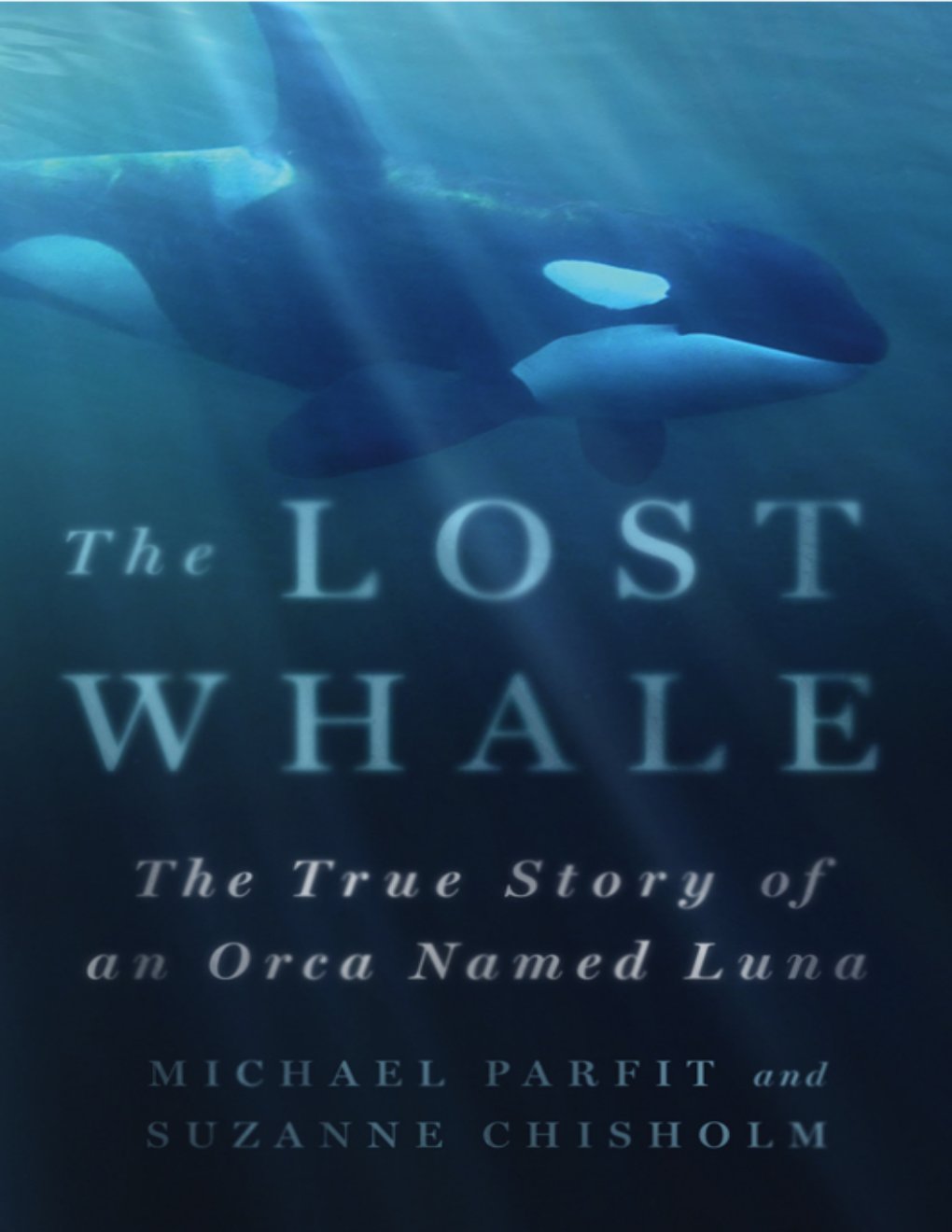 Cover of The Lost Whale