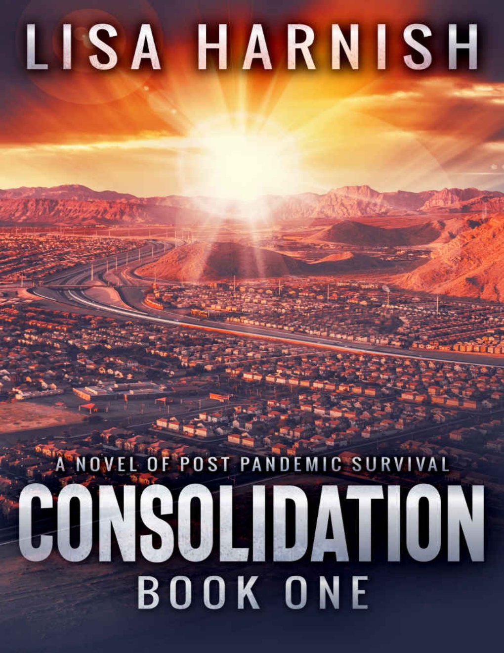 Cover of Consolidation: Book One