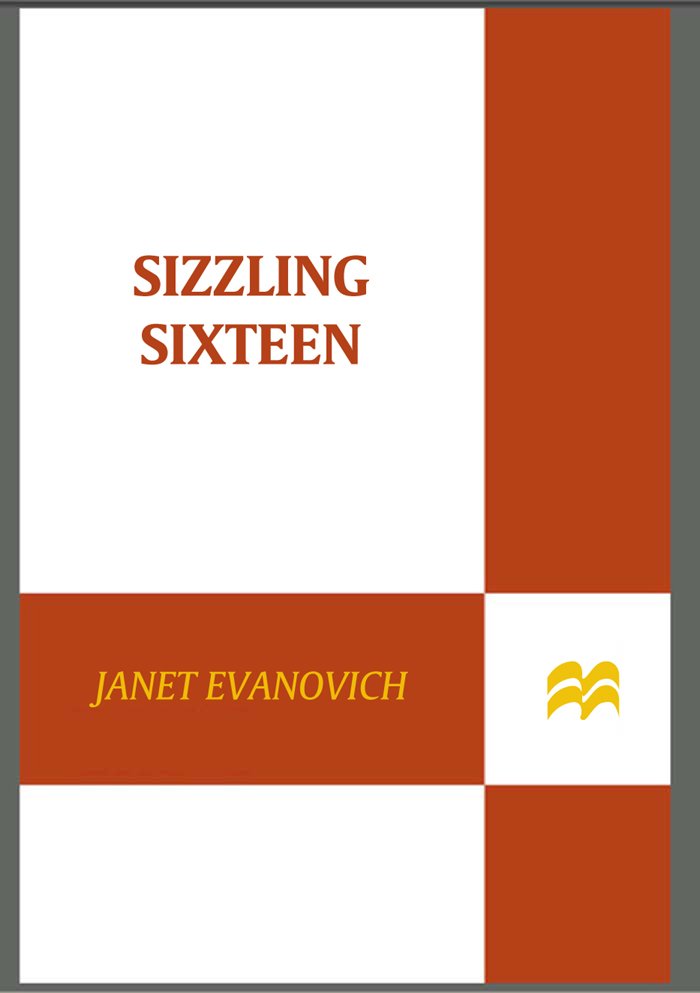 Cover of Sizzling Sixteen