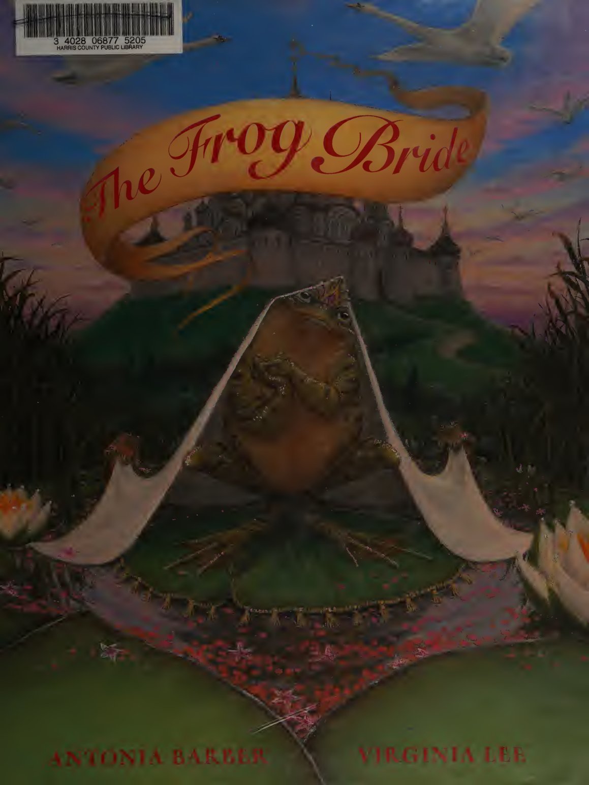 Cover of The frog bride