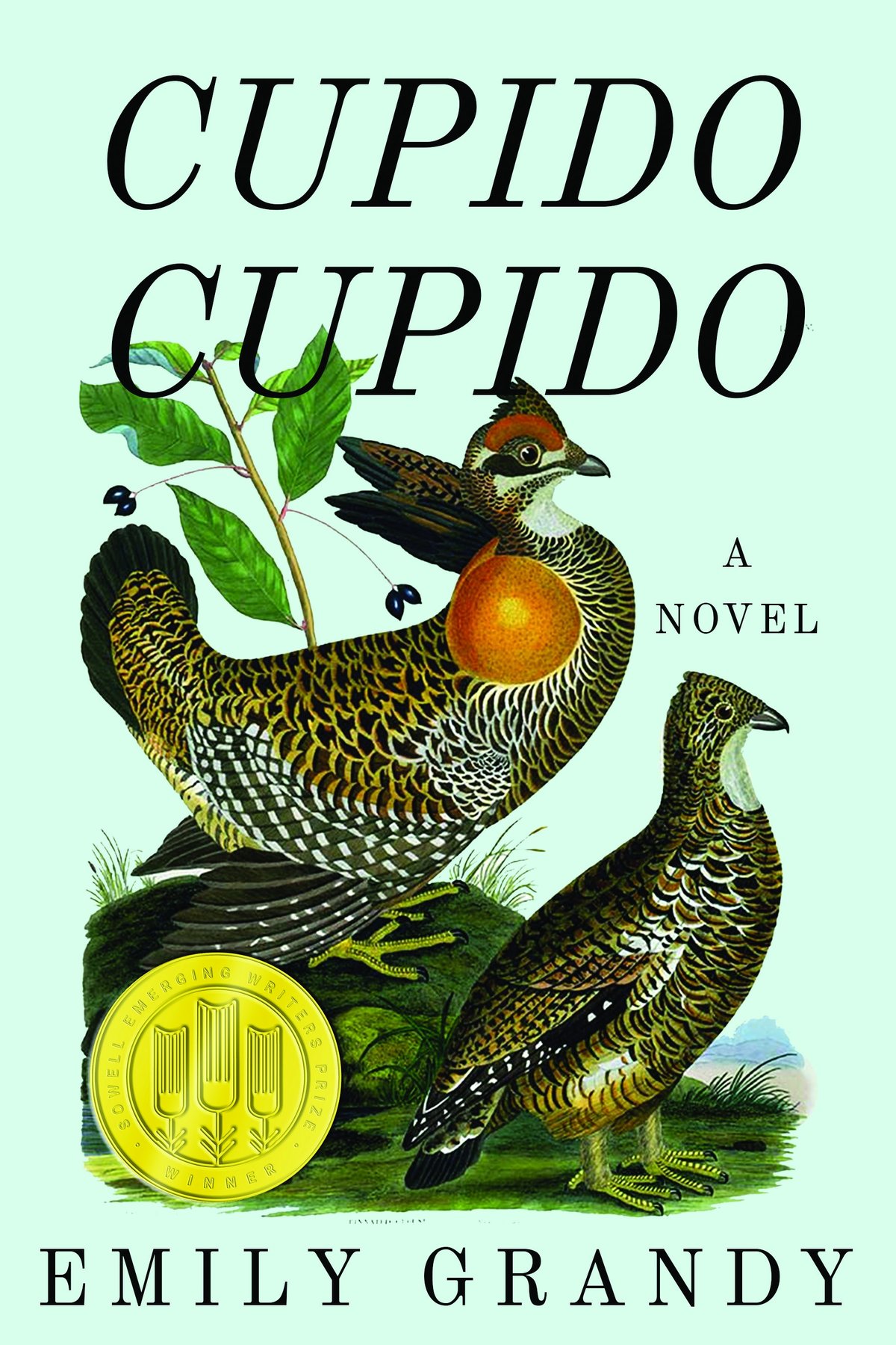 Cover of Cupido Cupido (1759)