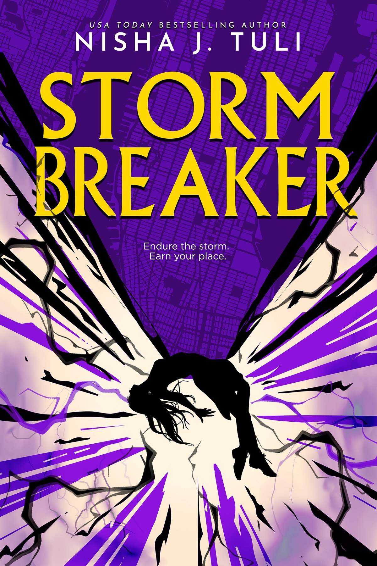 Cover of Storm Breaker