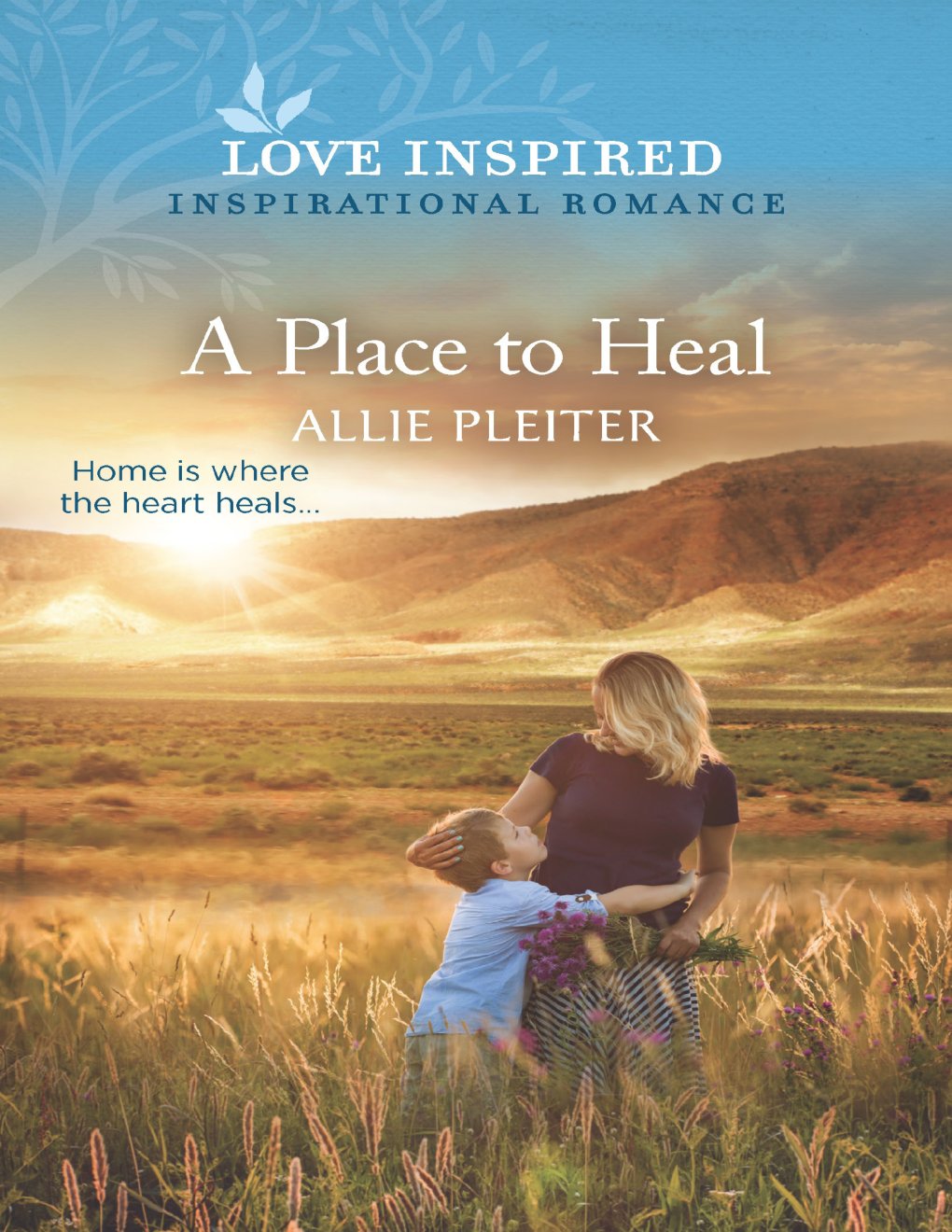 Cover of A Place to Heal