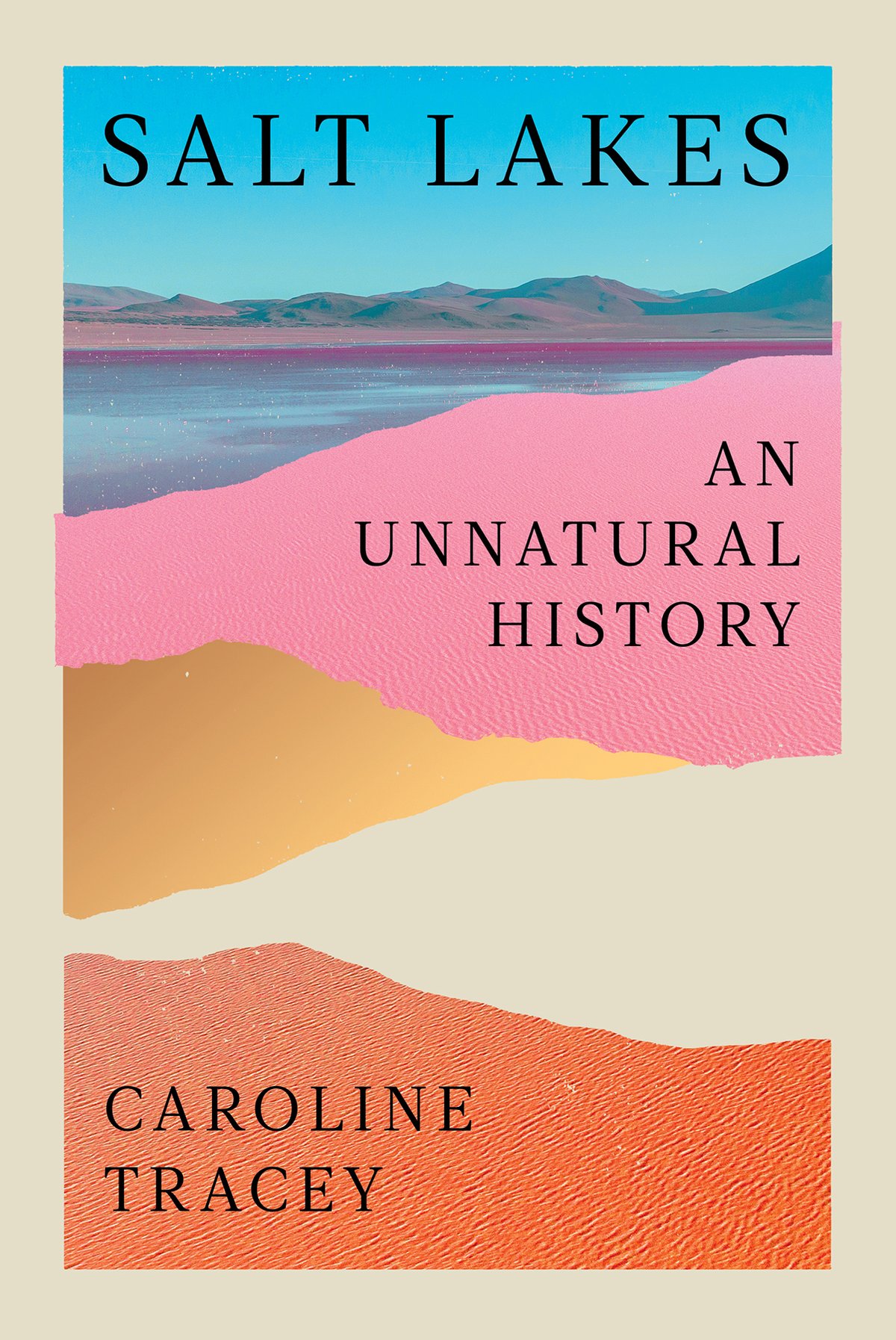 Cover of Salt Lakes