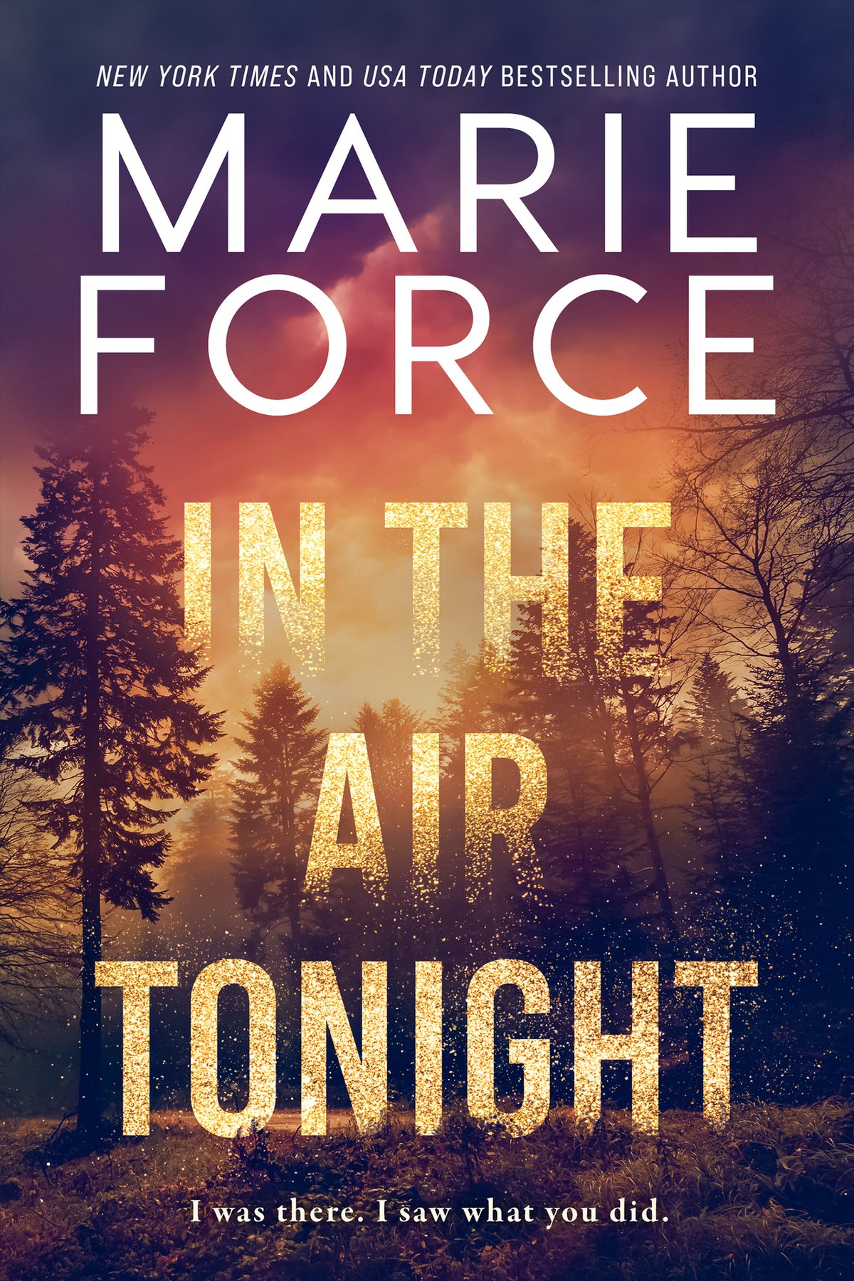 Cover of In the Air Tonight