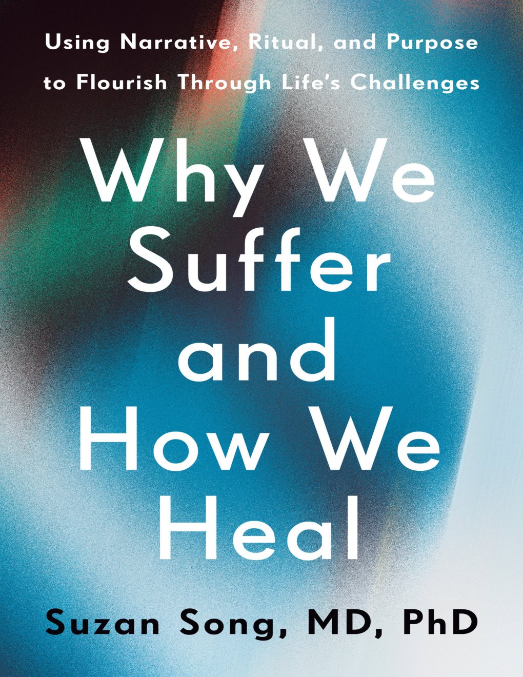 Cover of Why We Suffer and How We Heal: Using Narrative, Ritual, and Purpose to Flourish Through Life's Challenges